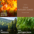 Load image into Gallery viewer, Cold Autumn Leaves 3-Wick Candle
