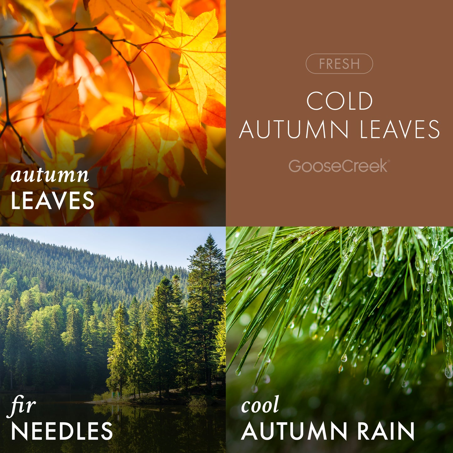 Cold Autumn Leaves 3-Wick Candle