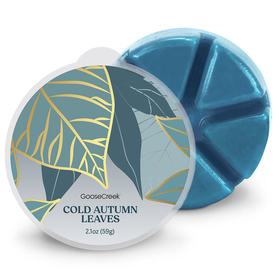 Cold Autumn Leaves Wax Melt