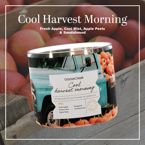 Cool Harvest Morning 3-Wick Candle