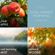Load image into Gallery viewer, Cool Harvest Morning 3-Wick Candle
