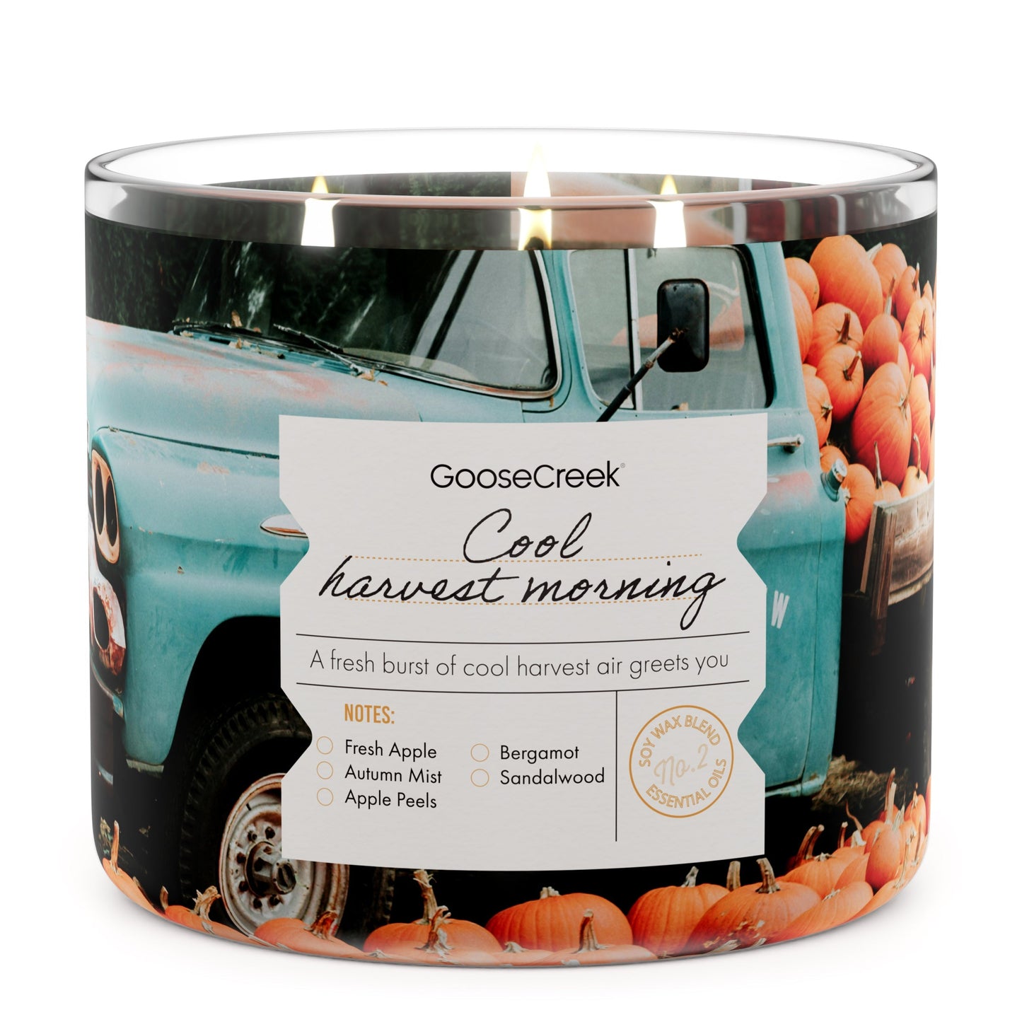 Cool Harvest Morning 3-Wick Candle