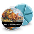 Load image into Gallery viewer, Cool Harvest Morning Wax Melt
