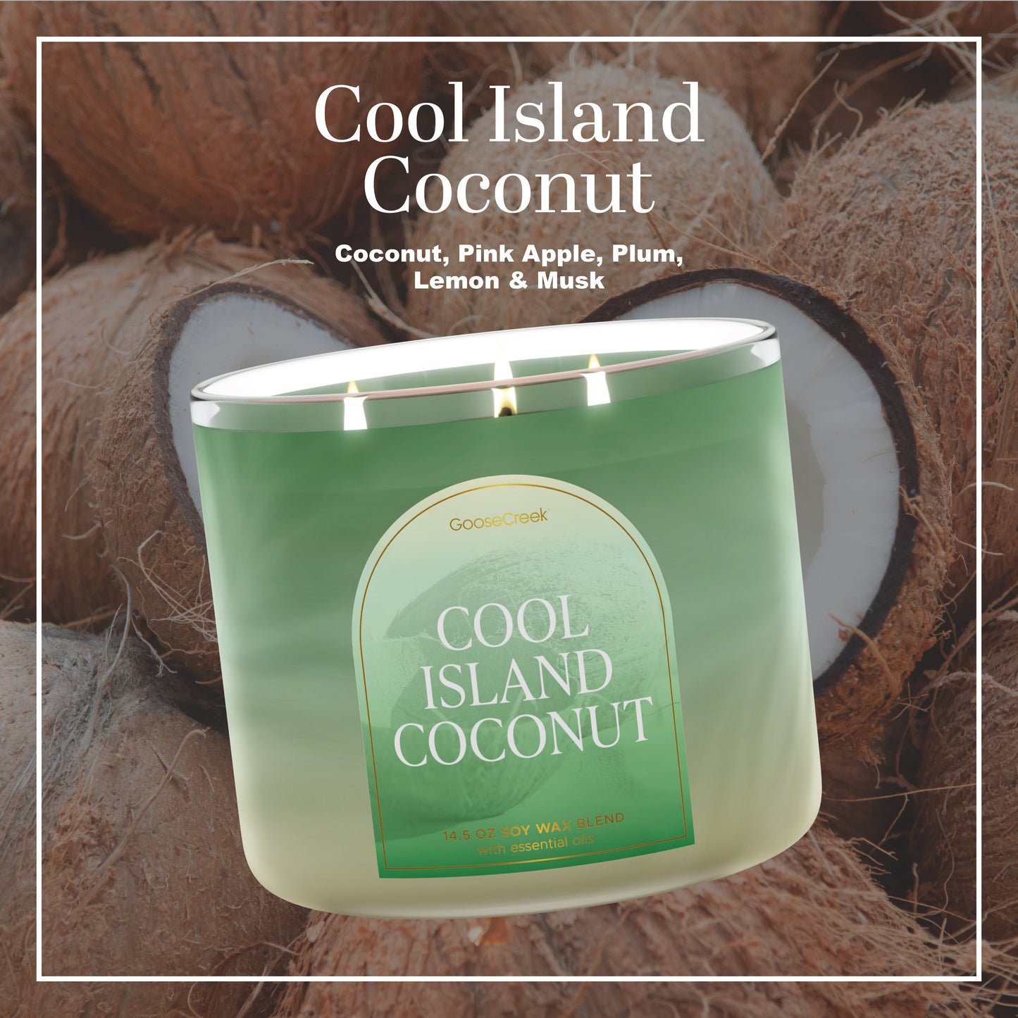 Cool Island Coconut 3-Wick Large Soy Candle