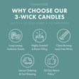 Cool Mountain Sunrise Large 3-Wick Candle