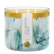 Load image into Gallery viewer, Cool Mountain Sunrise 3-Wick Candle
