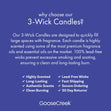 Load image into Gallery viewer, Cote D&amp;#39;Azur 3-Wick Candle
