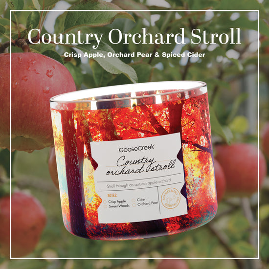 Country Orchard Stroll 3-Wick Candle