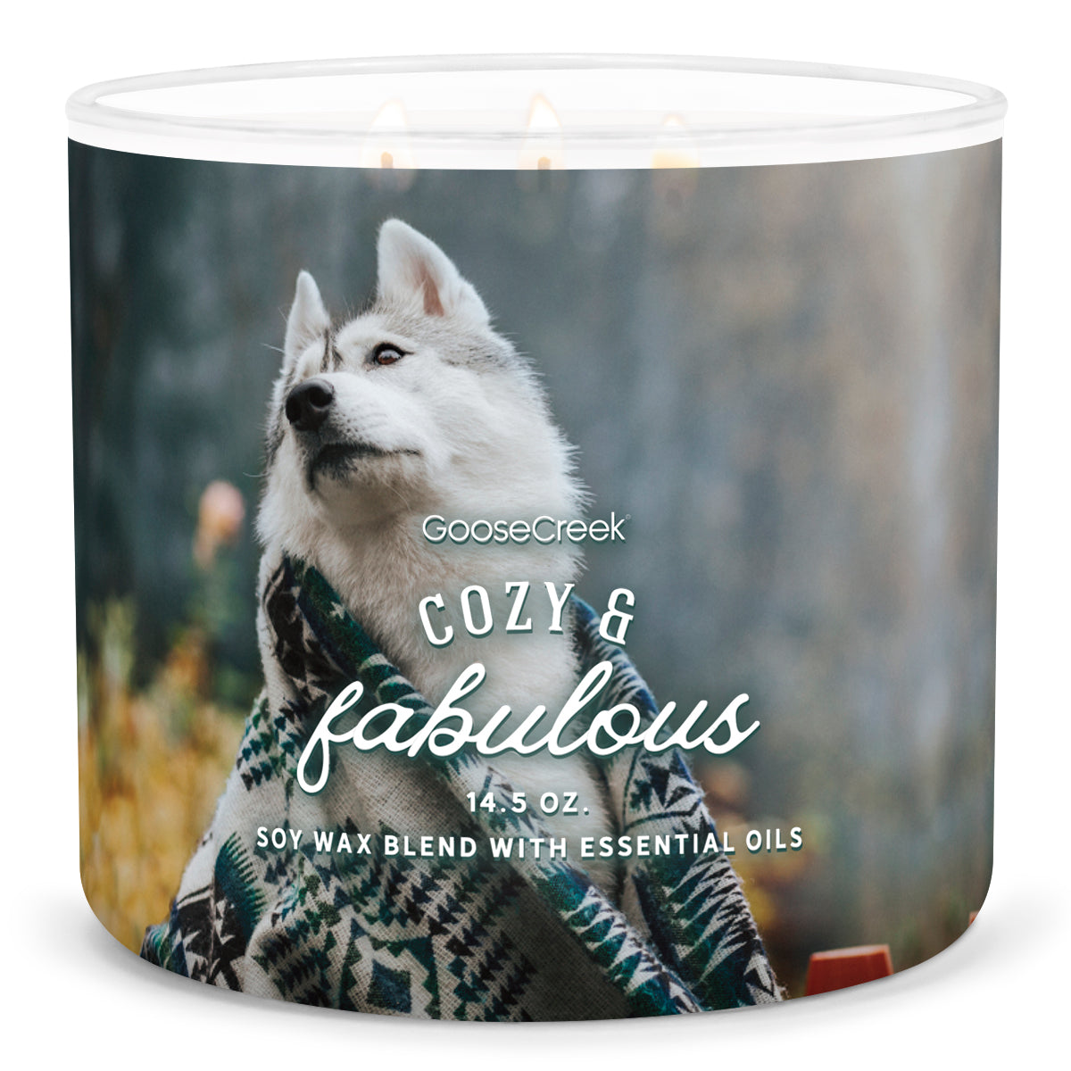 Load image into Gallery viewer, Cozy &amp;amp; Fabulous Large 3-Wick Candle
