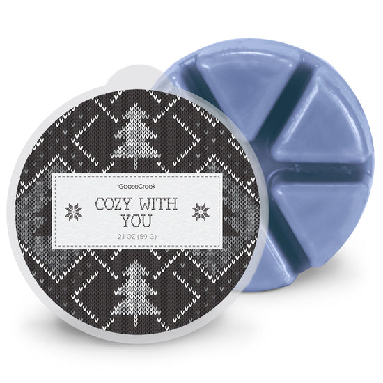 Cozy With You Wax Melt
