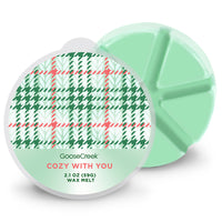 Cozy With You Wax Melt