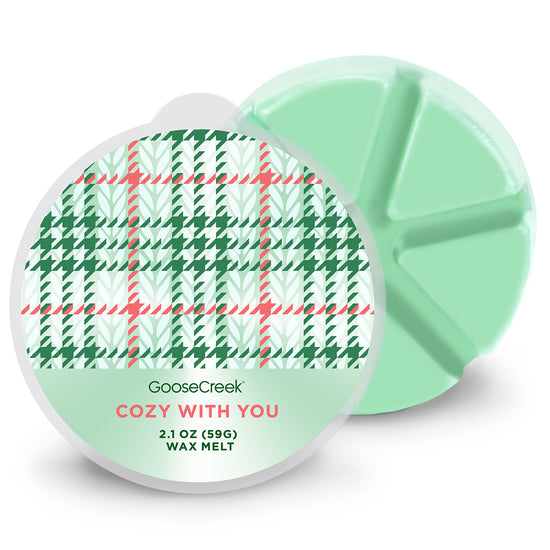 Cozy With You Wax Melt