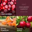 Load image into Gallery viewer, Cranberry Harvest 3-Wick Candle
