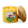 Load image into Gallery viewer, Crisp Fall Days 3-Wick Peanuts Candle
