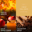 Load image into Gallery viewer, Crisp Fall Days 3-Wick Peanuts Candle
