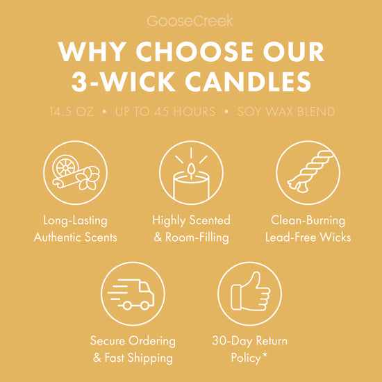 Crisp Fall Days 3-Wick Peanuts Candle