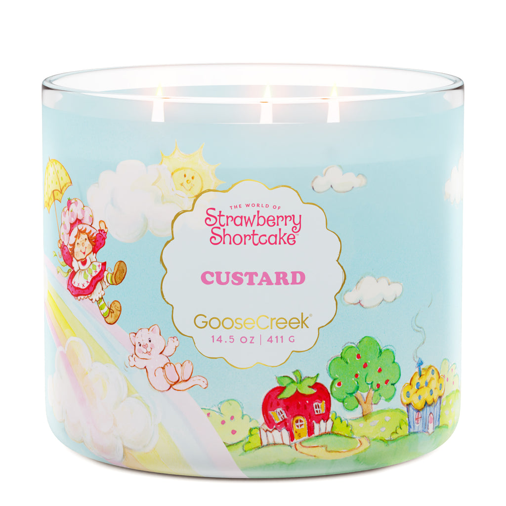goose creek candle キャンドル　2芯　ジャー　グース　クリーク Eruptive Citrus Strawberry Volcano Candle - Goose Creek Candles