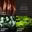 Load image into Gallery viewer, Deathly Hallows 3-Wick Harry Potter Candle
