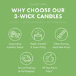 Load image into Gallery viewer, Decorating the Tree 3-Wick Peanuts Candle
