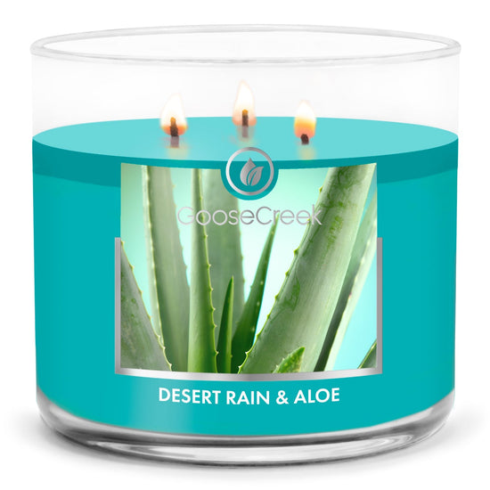 Load image into Gallery viewer, Desert Rain &amp;amp; Aloe Large 3-Wick Candle
