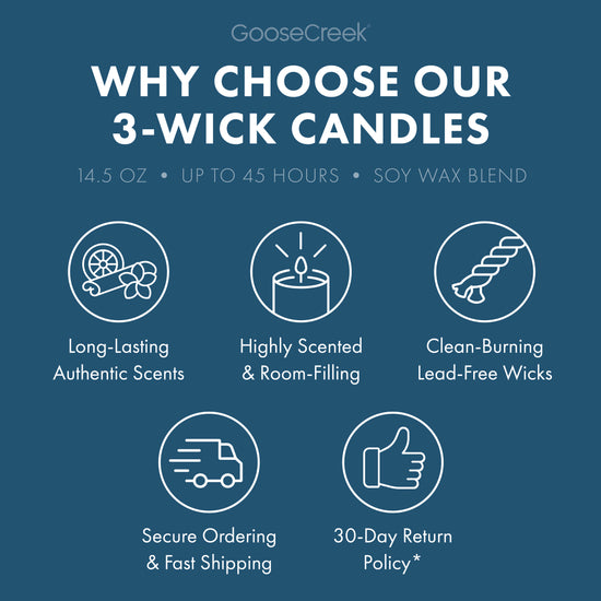 Dining Hall Terrors (Scooby Snack) 3-Wick Scooby-Doo Candle