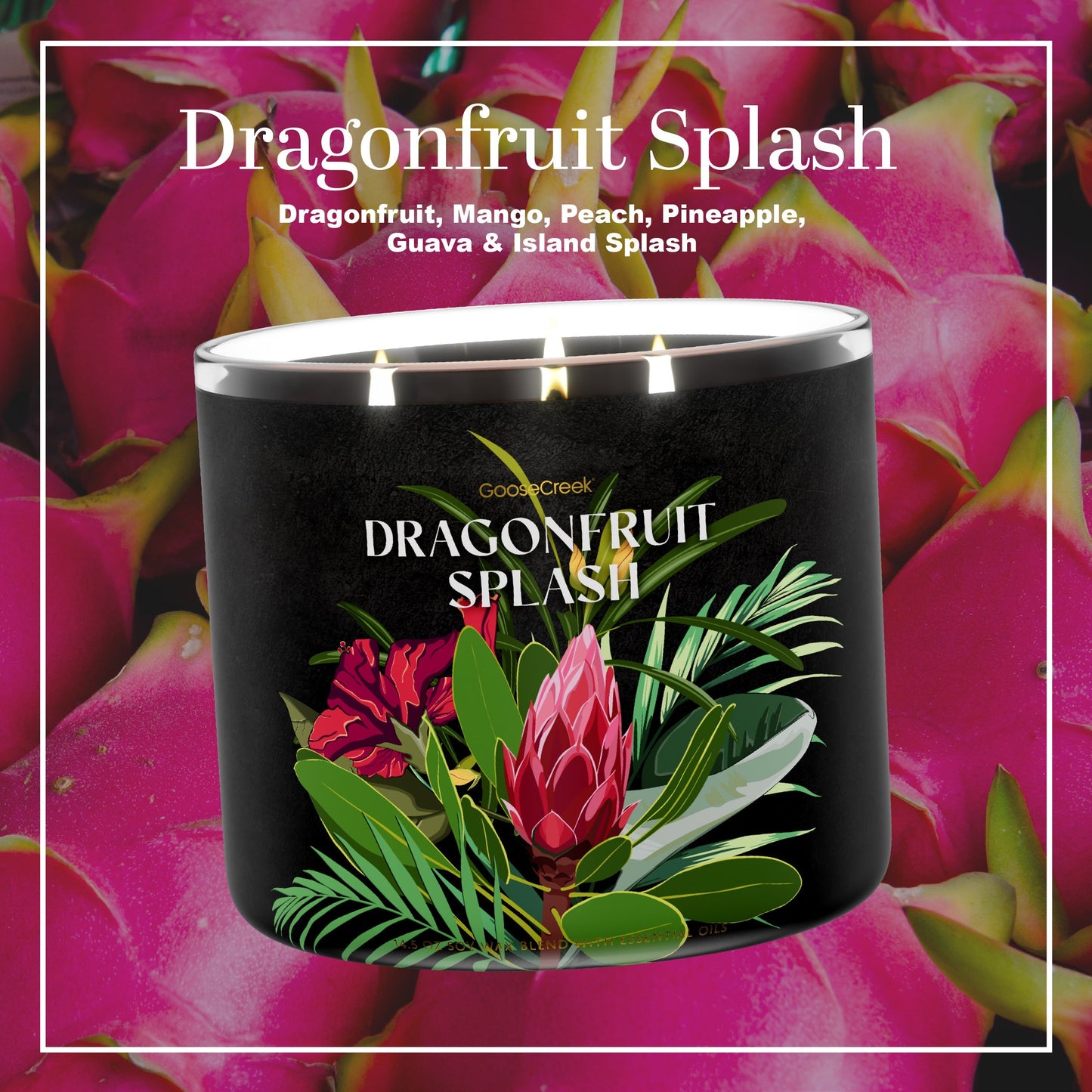 Dragonfruit Splash 3-Wick Candle