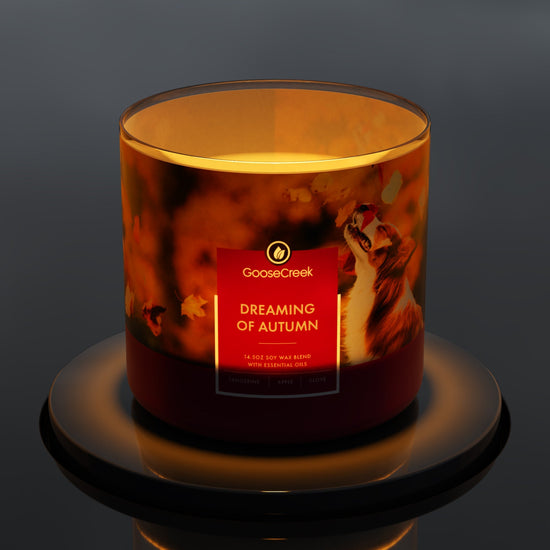 Dreaming of Autumn Large 3-Wick Candle