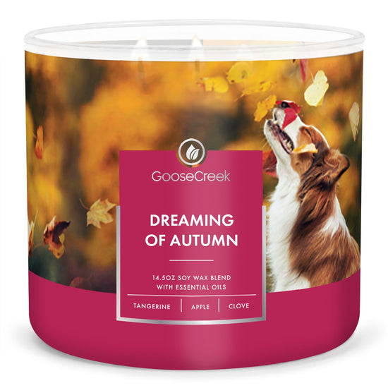 Dreaming of Autumn Large 3-Wick Candle