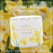 Load image into Gallery viewer, Drenched Daffodils 3-Wick Candle
