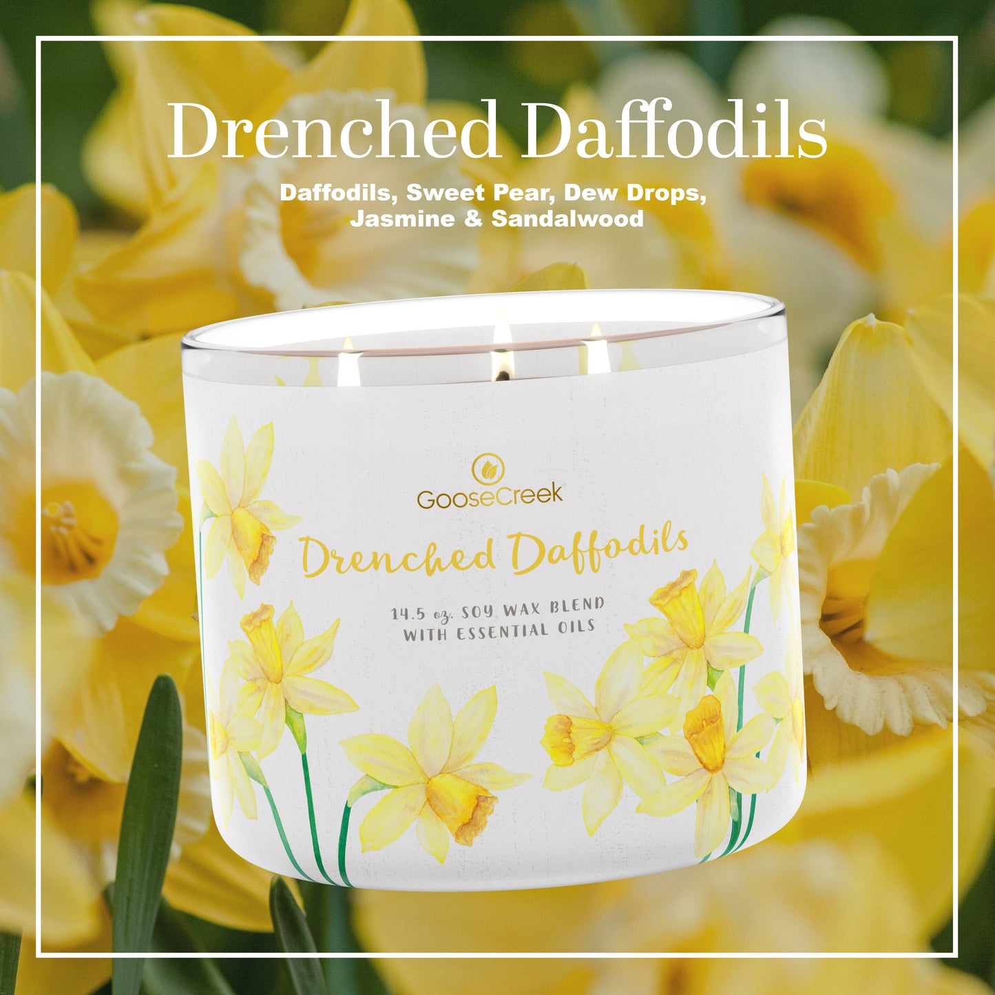 Drenched Daffodils 3-Wick Candle