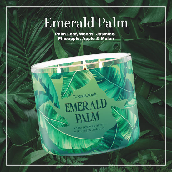 Emerald Palm 3-Wick Candle