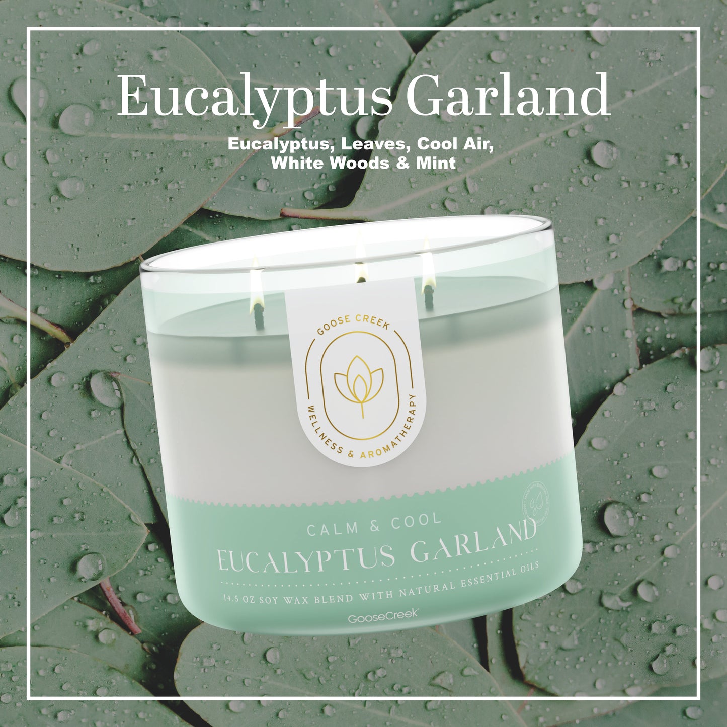 Eucalyptus Garland Aromatherapy 3-Wick Candle