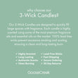 Load image into Gallery viewer, Eucalyptus Garland Aromatherapy 3-Wick Candle
