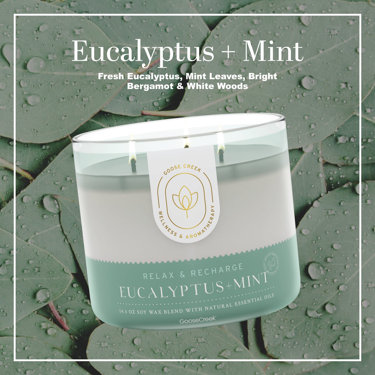 Eucalyptus & Mint Aromatherapy 3-Wick Candle