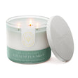 Load image into Gallery viewer, Eucalyptus &amp;amp; Mint Aromatherapy 3-Wick Candle
