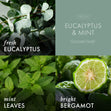 Load image into Gallery viewer, Eucalyptus &amp;amp; Mint Aromatherapy 3-Wick Candle
