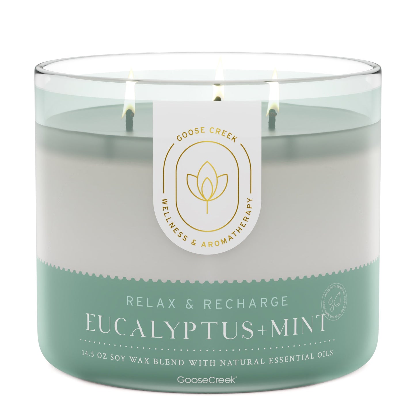 Eucalyptus & Mint Aromatherapy 3-Wick Candle