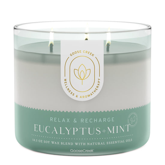 Eucalyptus & Mint Aromatherapy 3-Wick Candle