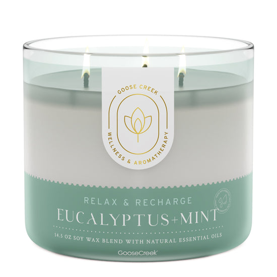 Eucalyptus & Mint Aromatherapy Large 3-Wick Candle