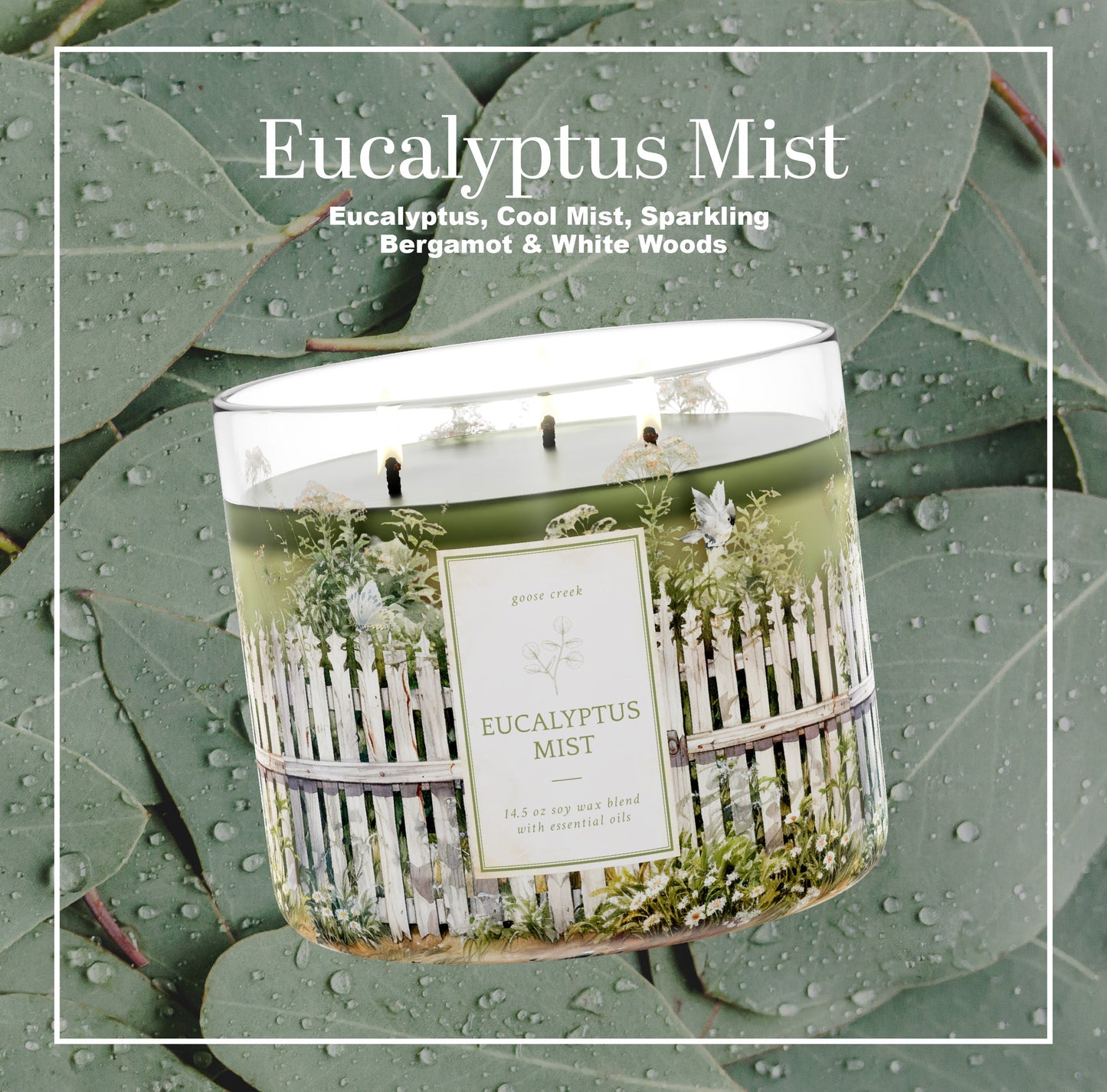 Eucalyptus Mist 3-Wick Candle