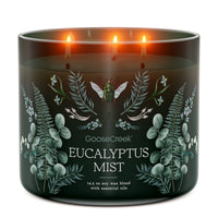 Eucalyptus Mist 3-Wick Candle