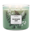 Load image into Gallery viewer, Eucalyptus Mist Odor Eliminating 3-Wick Candle
