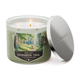 Load image into Gallery viewer, Evergreen Trail 3-Wick Candle
