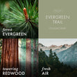 Load image into Gallery viewer, Evergreen Trail 3-Wick Candle
