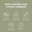 Load image into Gallery viewer, Evergreen Trail 3-Wick Candle
