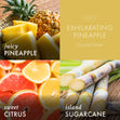 Load image into Gallery viewer, Exhilarating Pineapple Wax Melt
