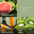 Farmstand Melon 3-Wick Candle