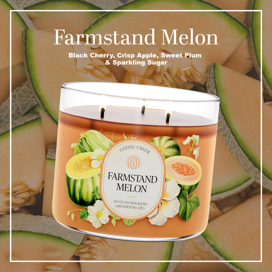 Farmstand Melon Large 3-Wick Candle