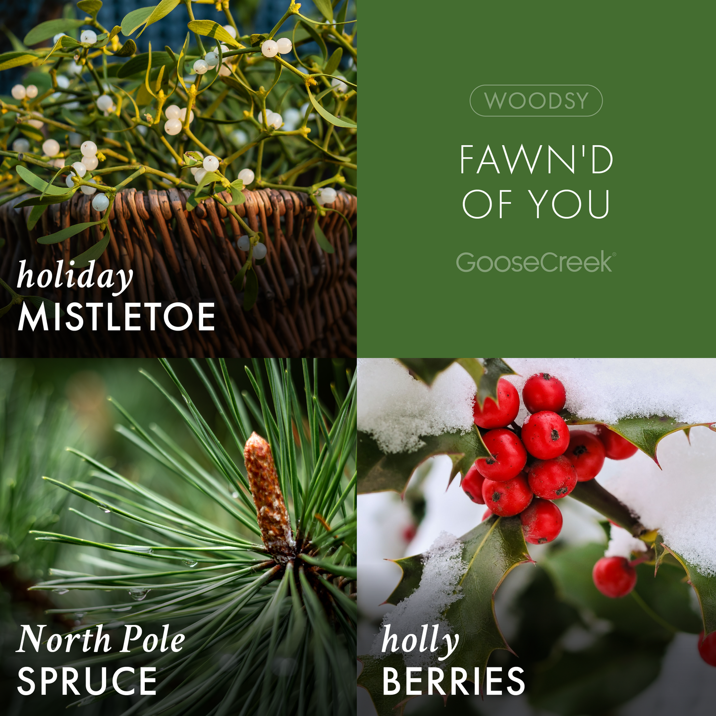 Fawn'd of You - Rudolph the Red-Nosed Reindeer© 3-Wick Candle