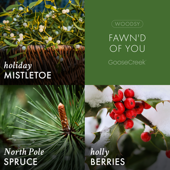 Fawn'd of You - Rudolph the Red-Nosed Reindeer© 3-Wick Candle